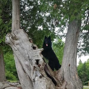 Meet your Posher, Chrystel